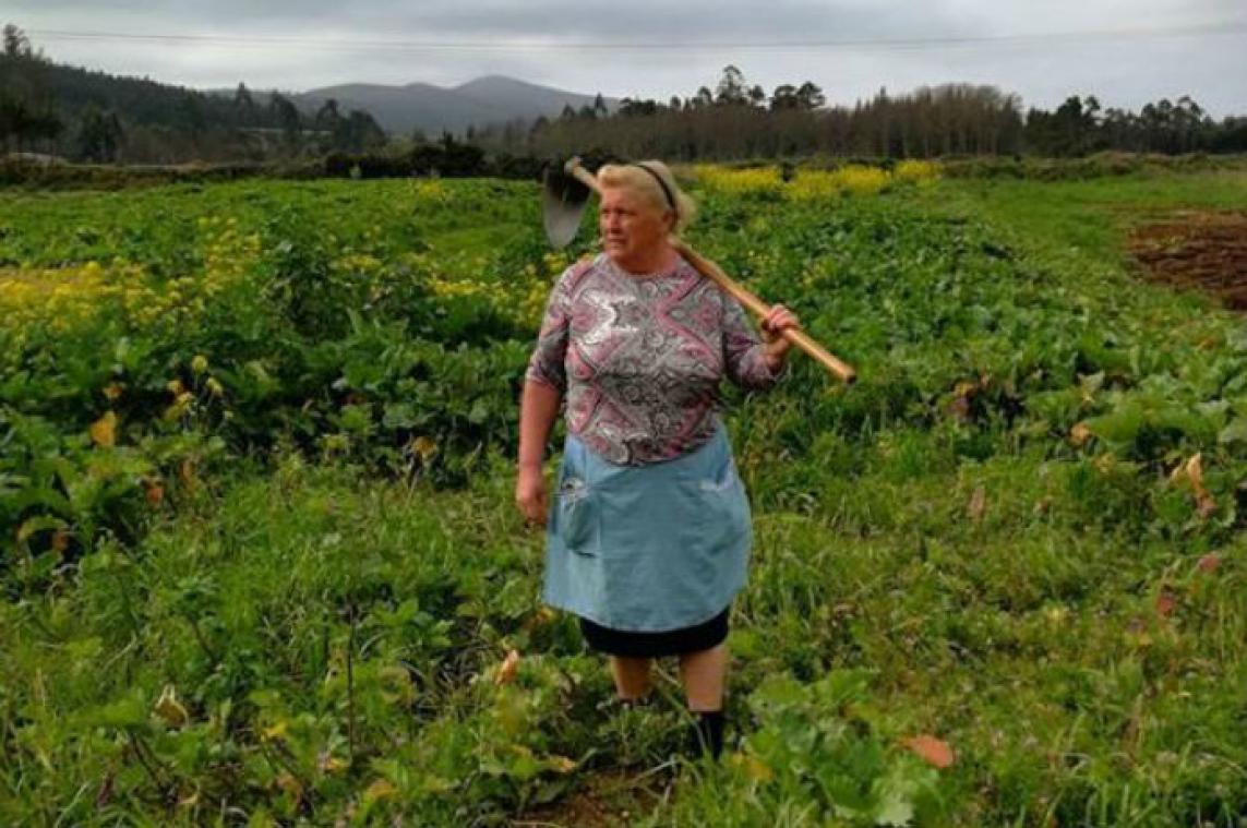 Dubbelganger van Trump is ... Spaanse vrouw