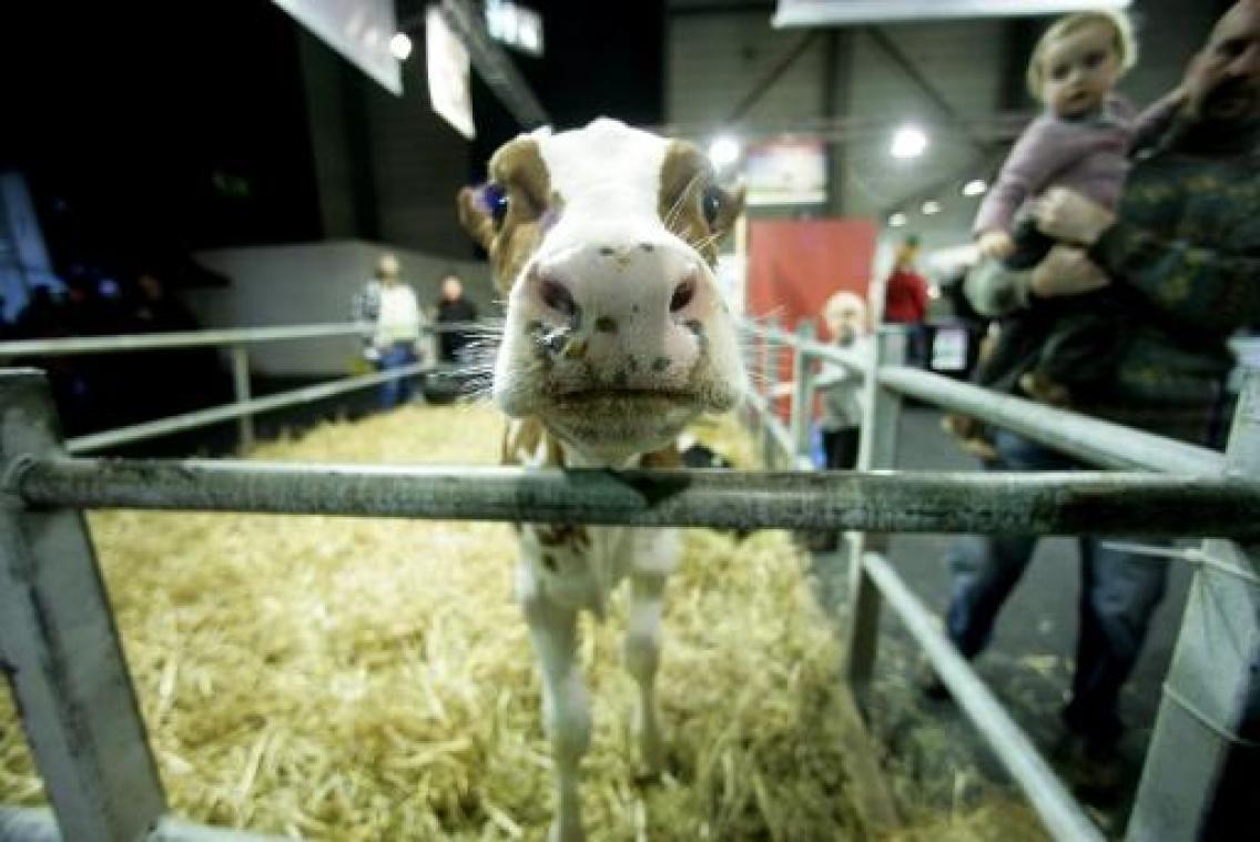 Apps voor boeren, gps voor tractoren en drones op elfde landbouwbeurs in Gent