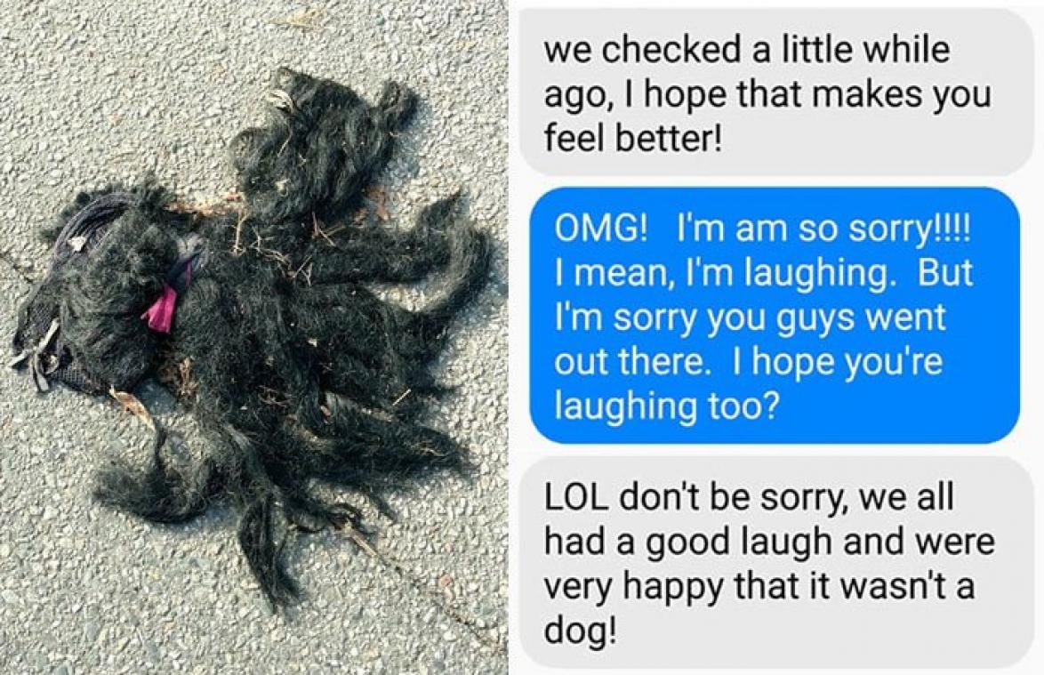 'Platgereden hondje' blijkt grappig genoeg iets anders te zijn