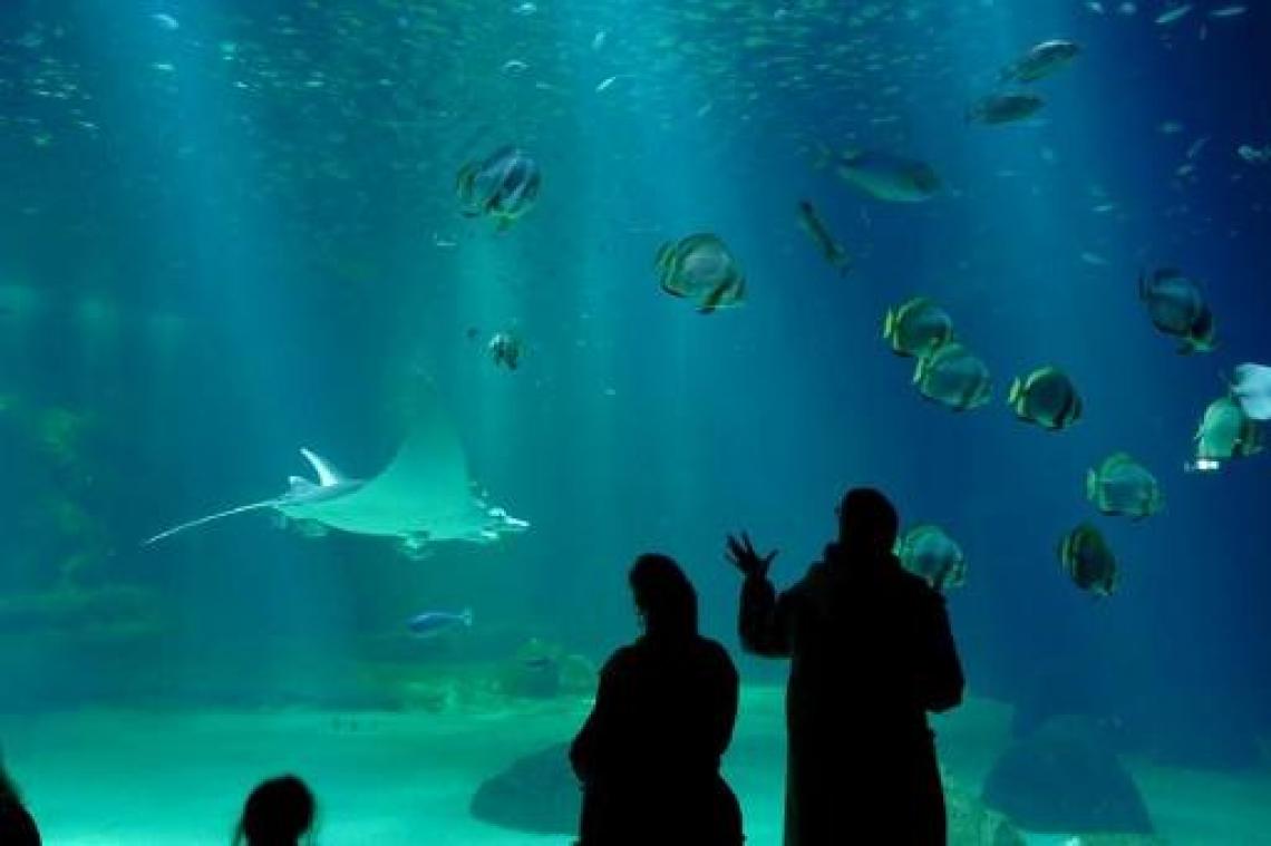 Oceanen warmen sneller op dan verwacht