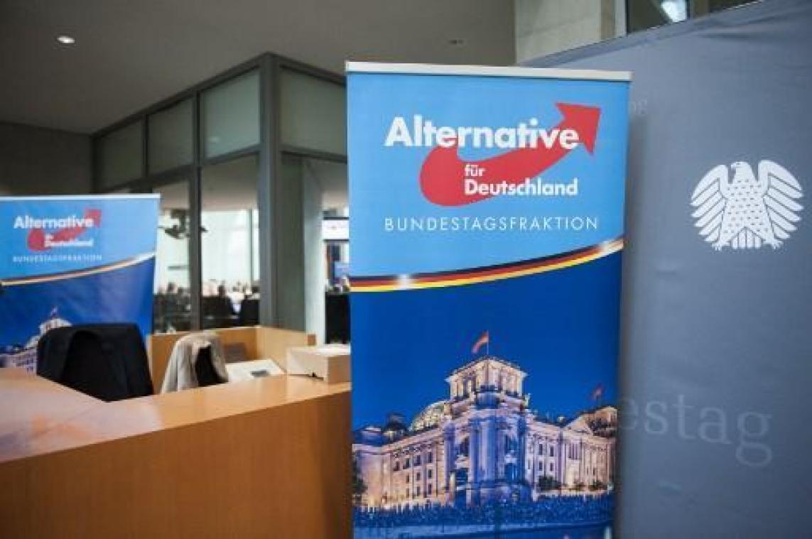 Duitse geheime dienst dreigt ermee AfD "onder toezicht" te plaatsen