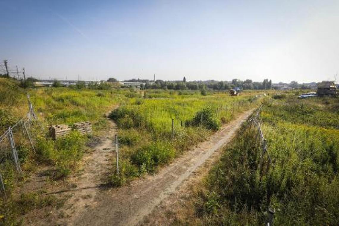 Raad van State geeft negatief advies voor mega-gevangenis Haren