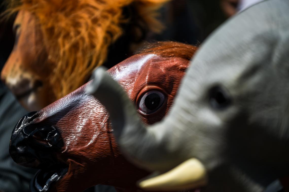 VIDEO. PETA choqueert met bizarre reclamespot