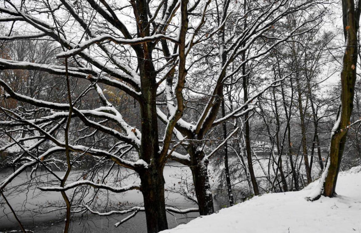 Weerbericht: sneeuw op dinsdag en woensdag
