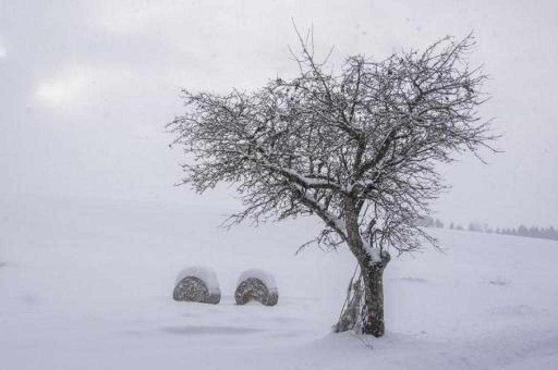 Weerbericht: sneeuw op komst
