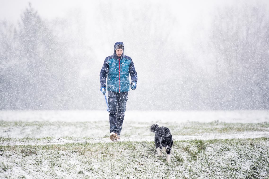 IN BEELD. Sneeuw legt wondermooi wit tapijt over België