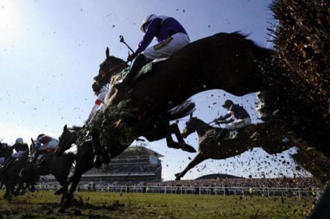 Equigala - Bernard Fonck looft na sterk 2018 zijn team: "Samen stonden we sterk"