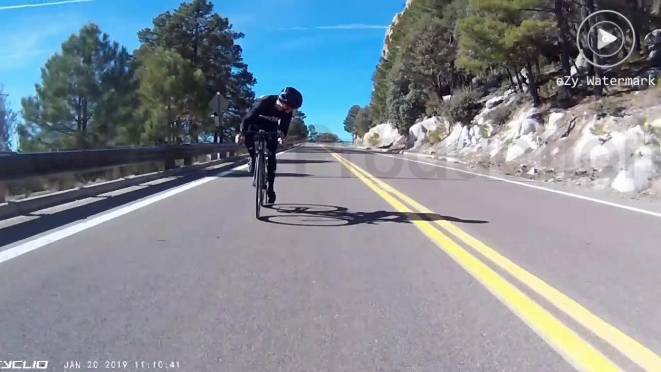VIDEO. Oh deer! Dit wil je liever niet tegenkomen op je fiets