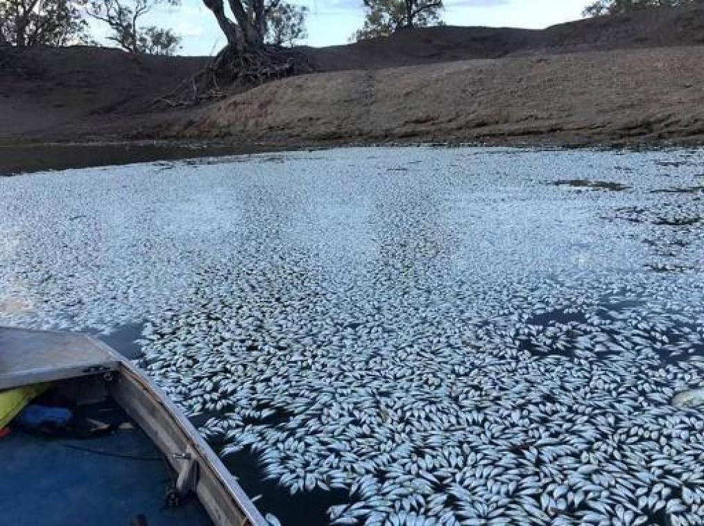 Australië registreerde warmste januari ooit, ook Rio verbreekt record