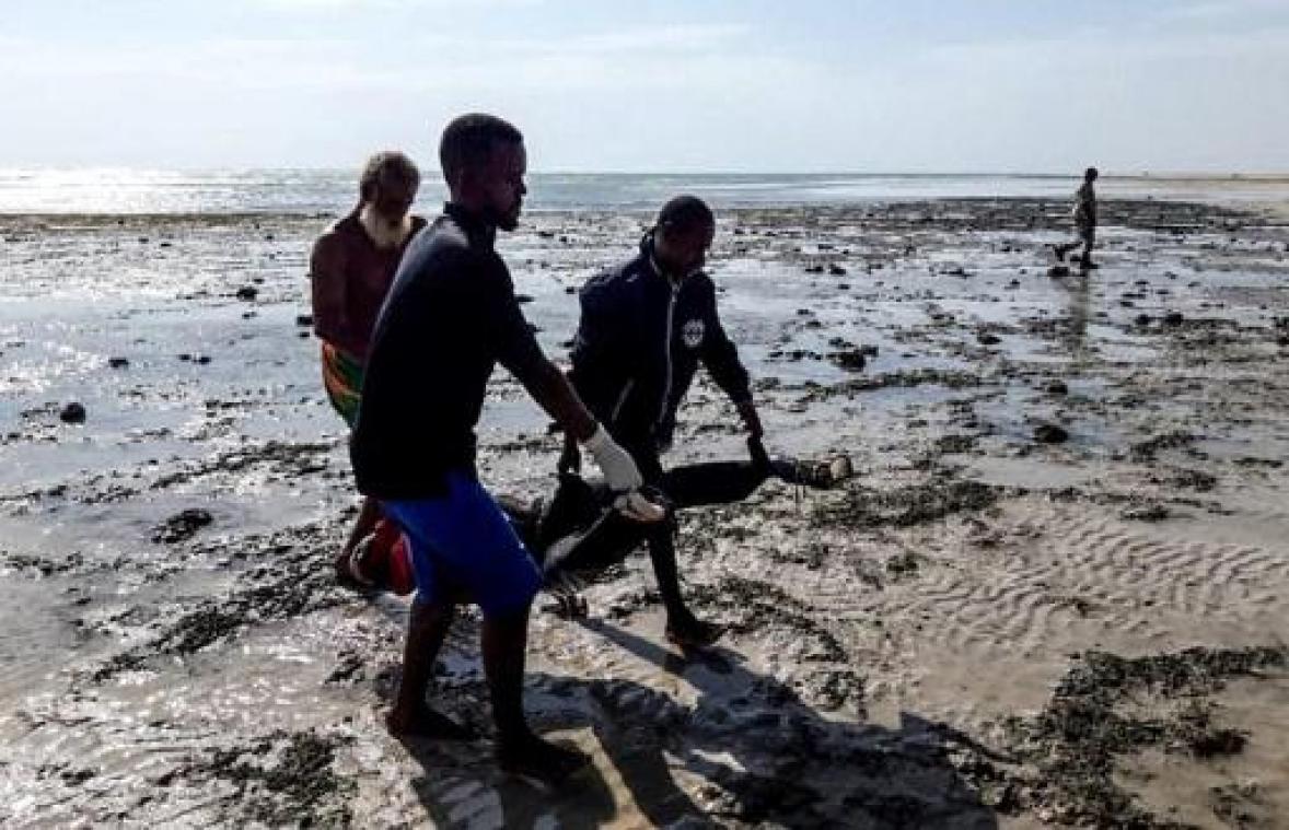 Al zeker 52 doden bij schipbreuk voor kust van Djibouti