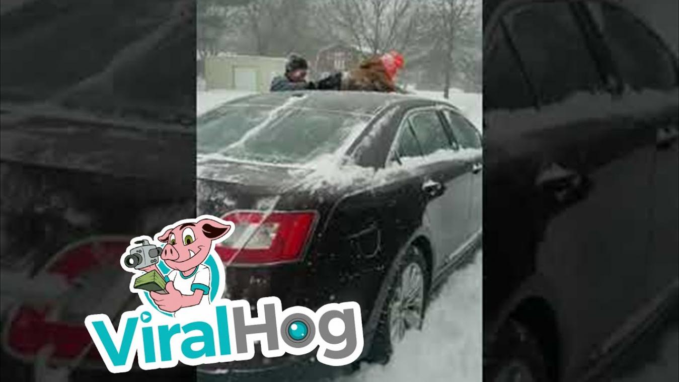 VIDEO. Dit is pas de manier om je auto weer sneeuwvrij te maken