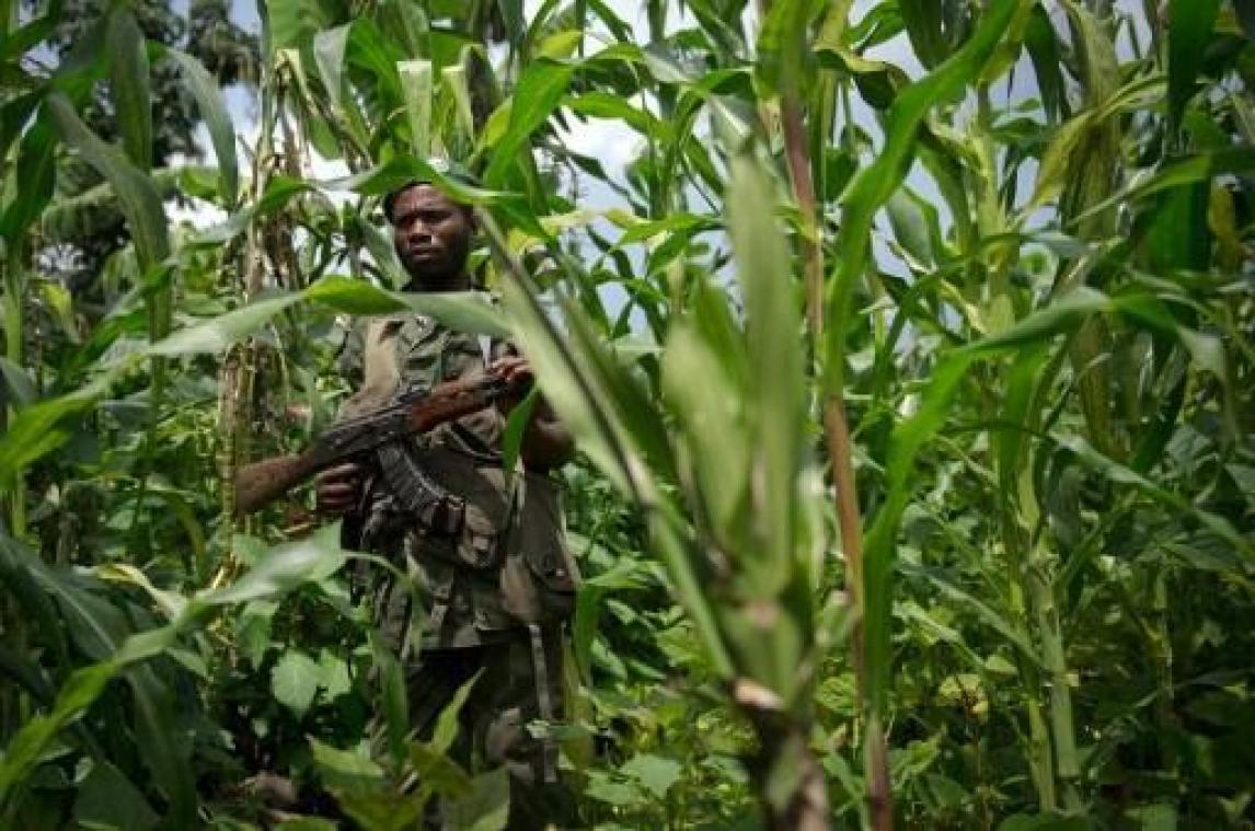 Minstens twintig doden bij gevechten in oosten van Congo