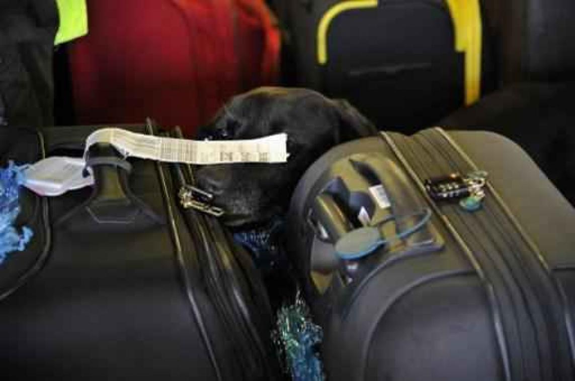 Luchthaven roept passagiers op verloren bagage zo gedetailleerd mogelijk te registreren