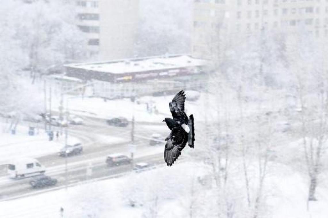 Recordhoeveelheid sneeuw in Moskou