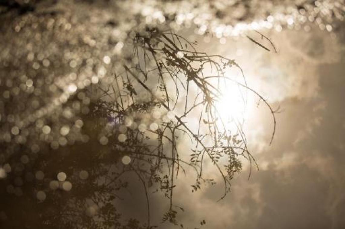 Lente is op komst: morgen tot 16 graden