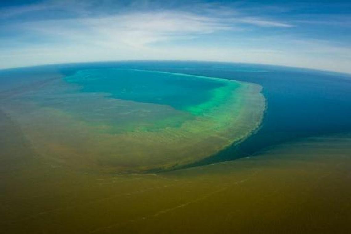 Nieuw onheil voor Great Barrier Reef: modderwater vloeit in koraalrif