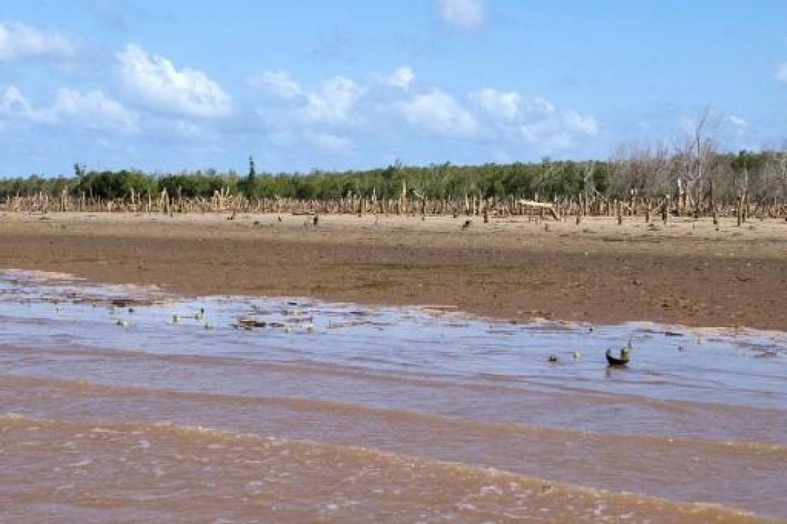 Meer dan 900 doden door mazelenepidemie in Madagaskar