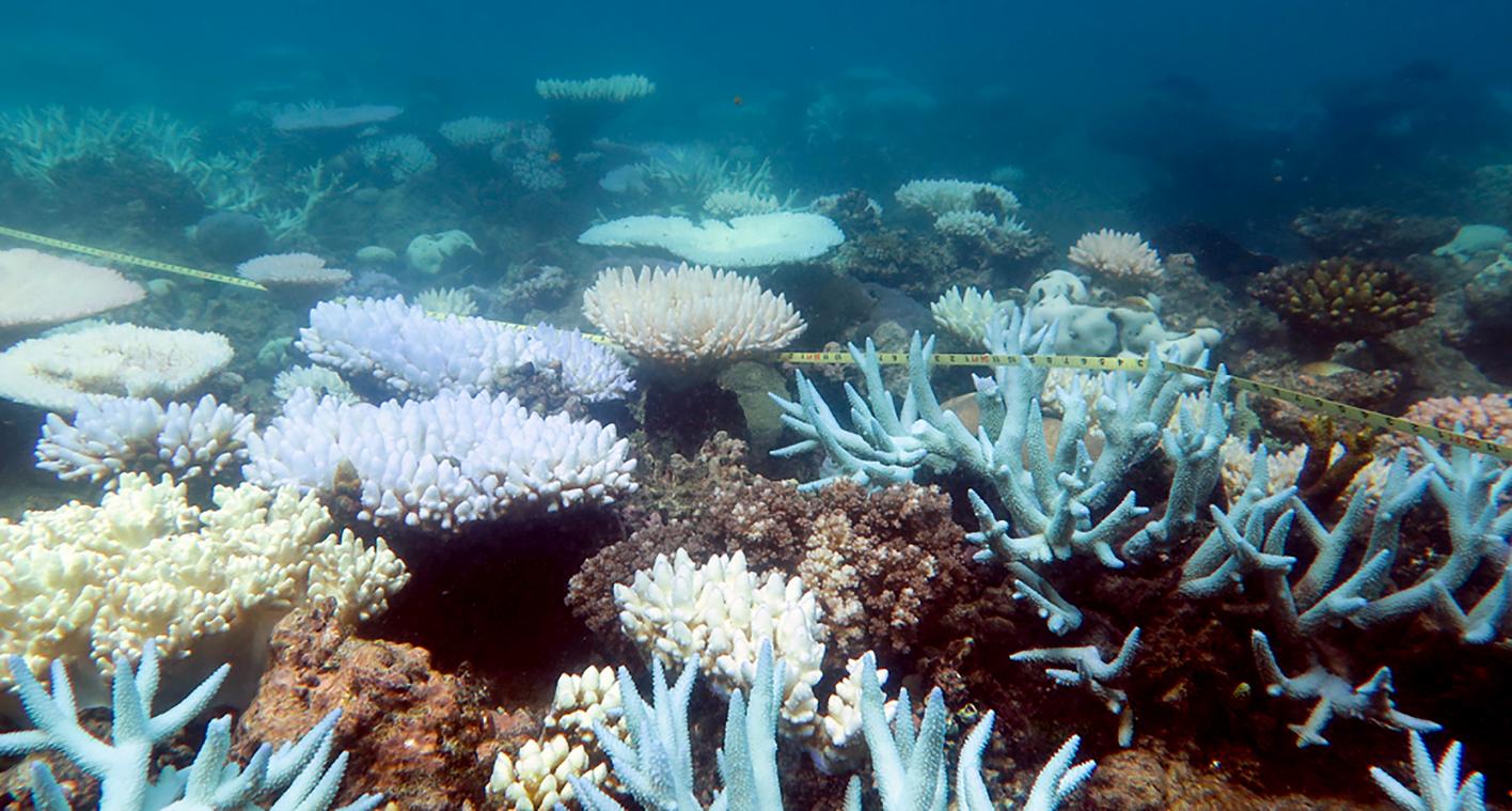 Modderwater vloeit in Great Barrier Reef