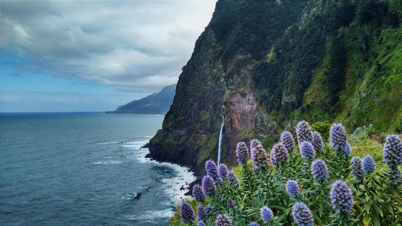 Madeira, avontuurlijk bloemeneiland voor oud én jong