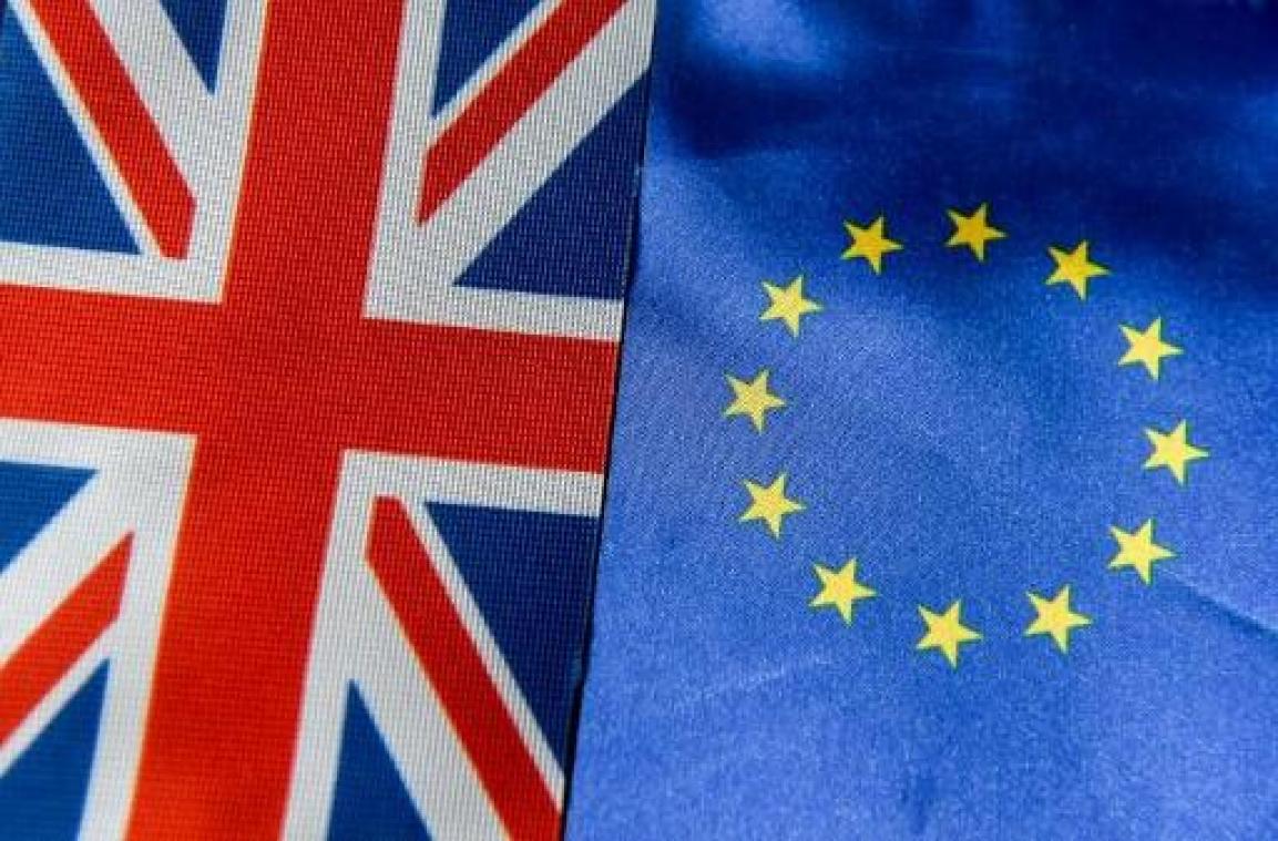 Vlaanderen werkt aan nooddecreet voor 'no deal'