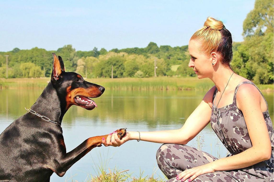 Tijd verandert de persoonlijkheid van je hond