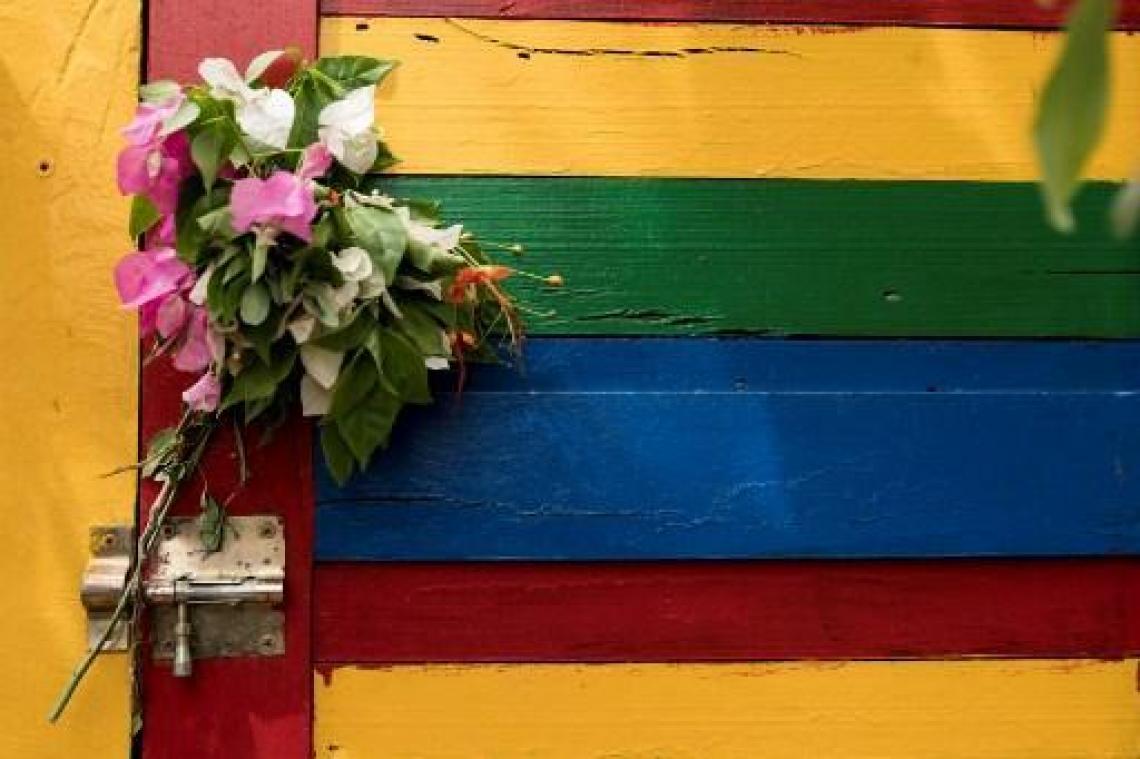 Zeventien burgers omgekomen bij explosie in Mali