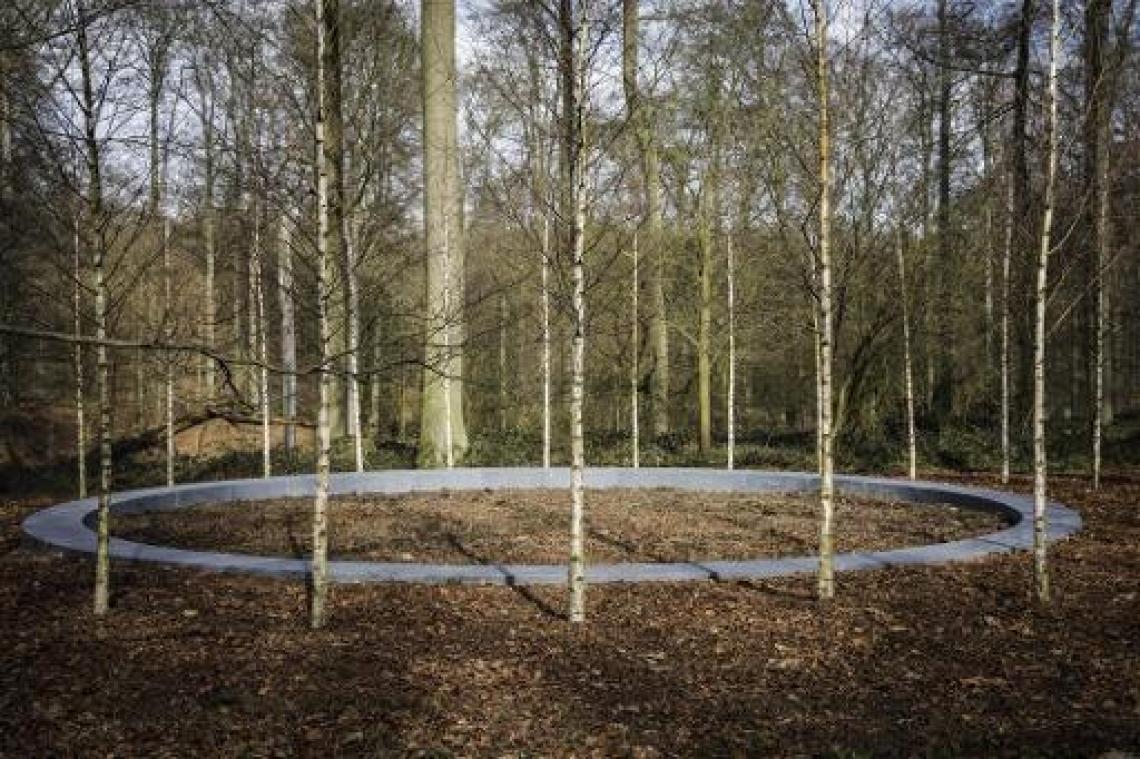 Slachtoffers hebben te weinig medische en psychologische bijstand gekregen