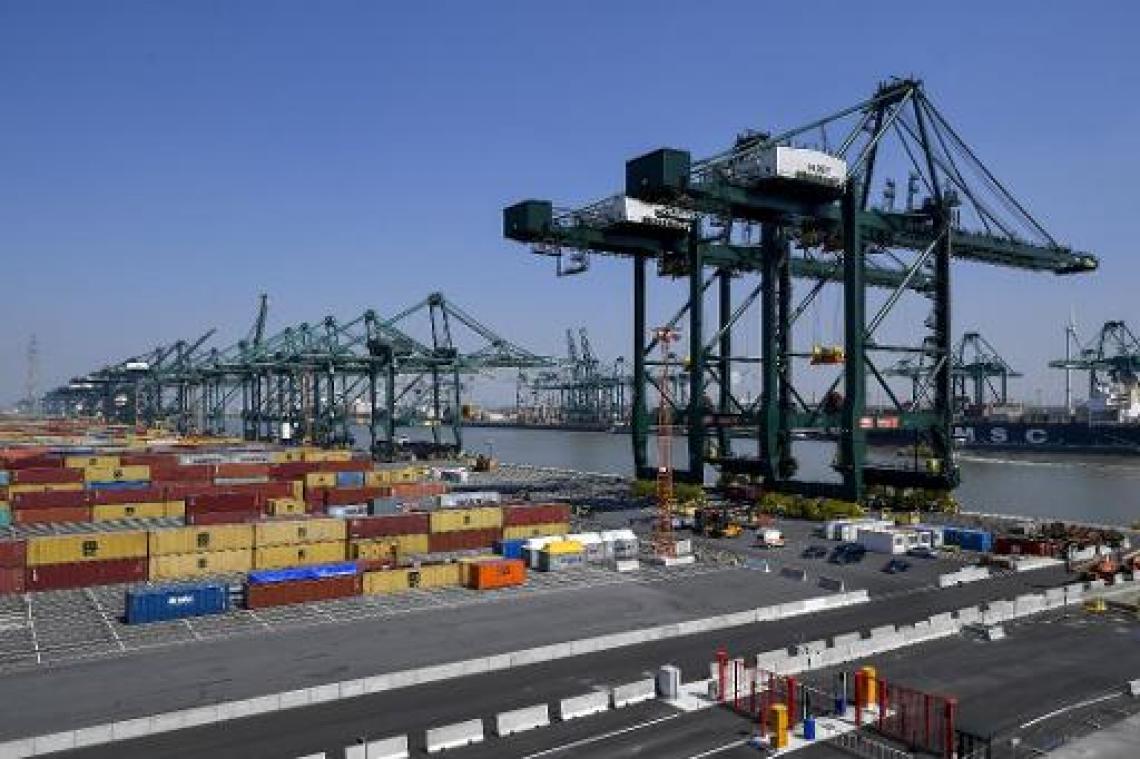 Nederlandse politie start actie tegen cocaïnesmokkel na drugsvondst in Antwerpse haven