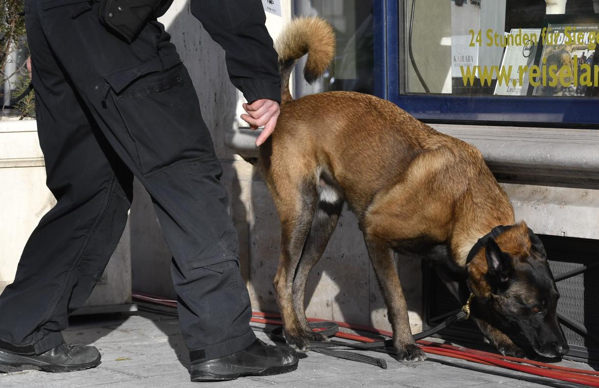 China kloont de 'Sherlock Holmes' onder de politiehonden
