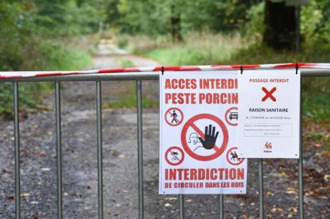 Groothertogdom Luxemburg bouwt hek aan Belgische grens tegen Afrikaanse varkenspest