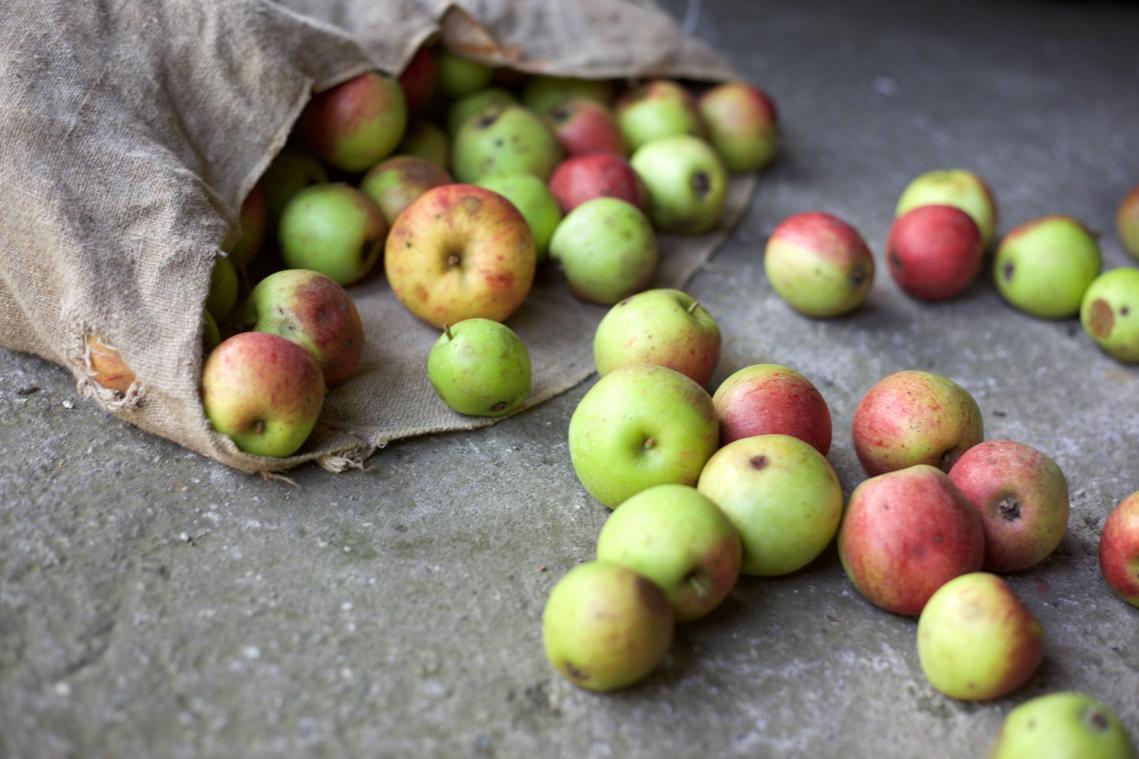 Zero waste winkels in Vlaanderen en Brussel