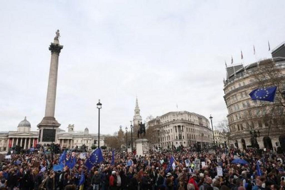 Duizenden betogen in Londen voor een nieuw brexit-referendum