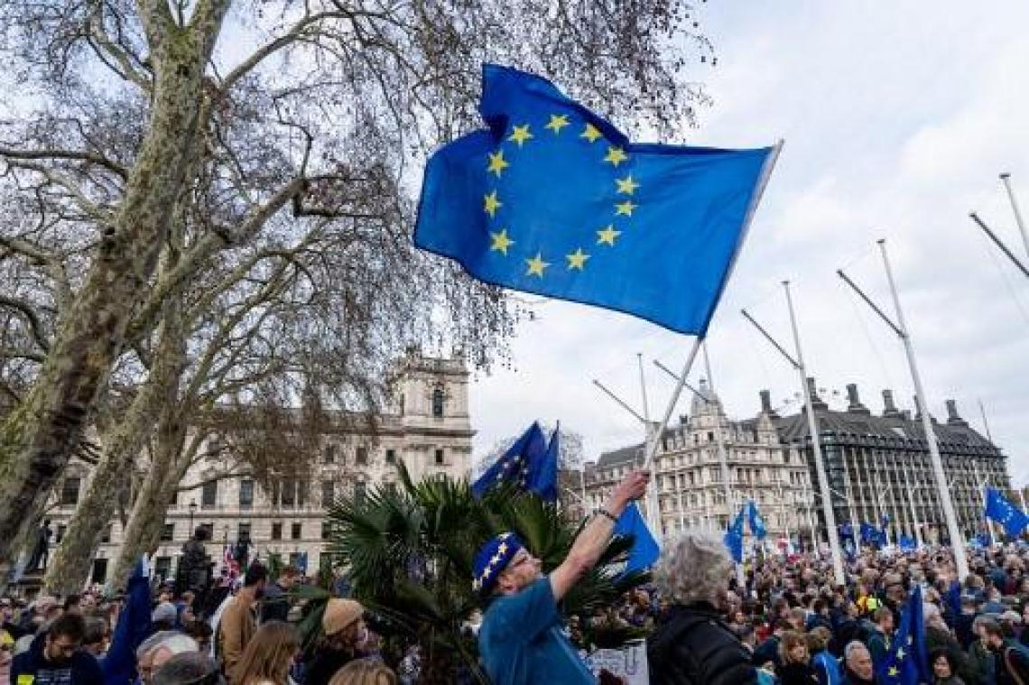 Miljoen mensen betoogt in Londen voor nieuw referendum