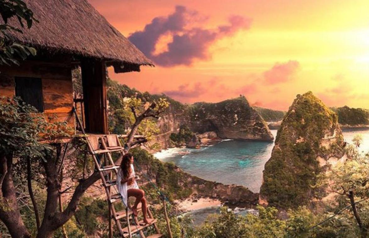 Dit is ongetwijfeld de gezelligste boomhut ter wereld