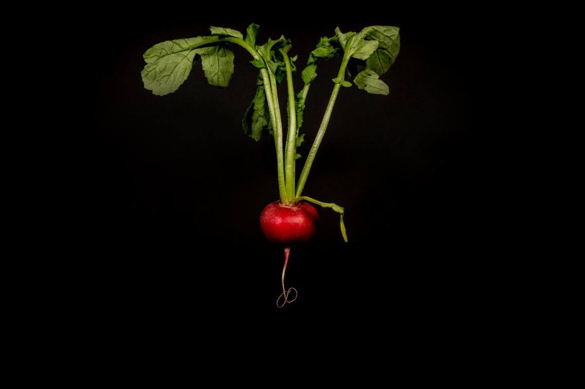 Probeer eens vegan te eten in april