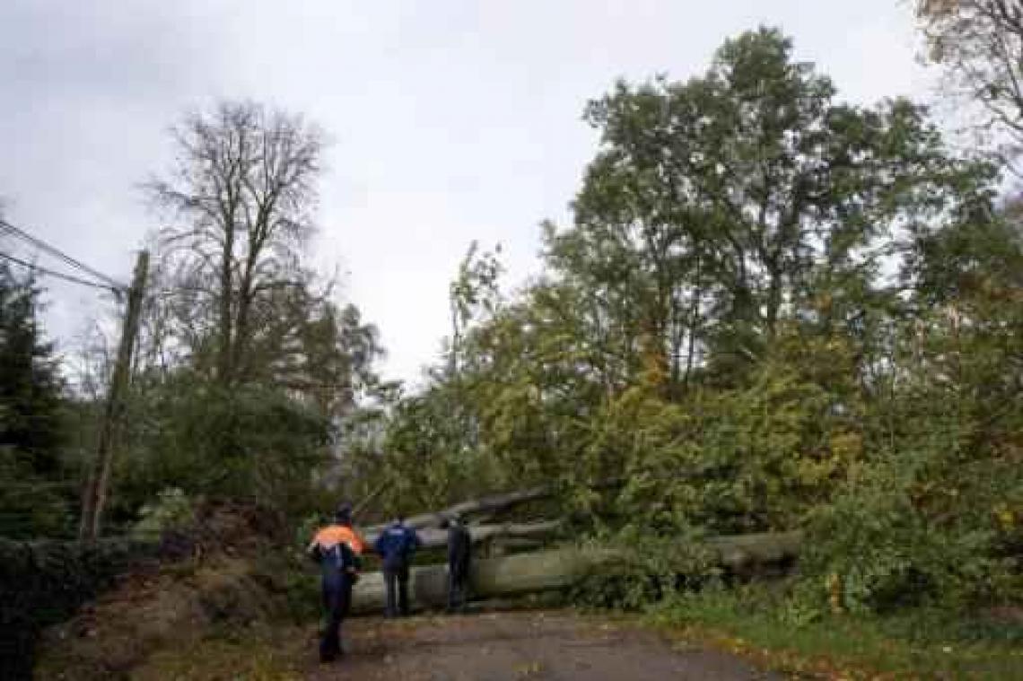 Schade en hinder blijven beperkt in Antwerpen