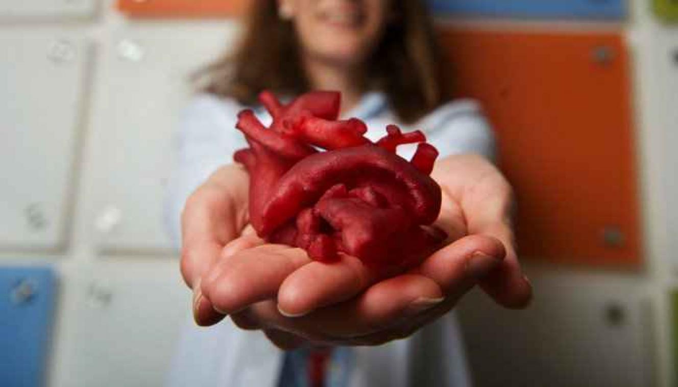 Wetenschappers willen een menselijk hart maken met 3D-printer