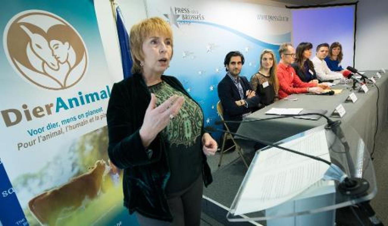 Dierenpartij DierAnimal neemt in Vlaams-Brabant deel aan Vlaamse verkiezingen