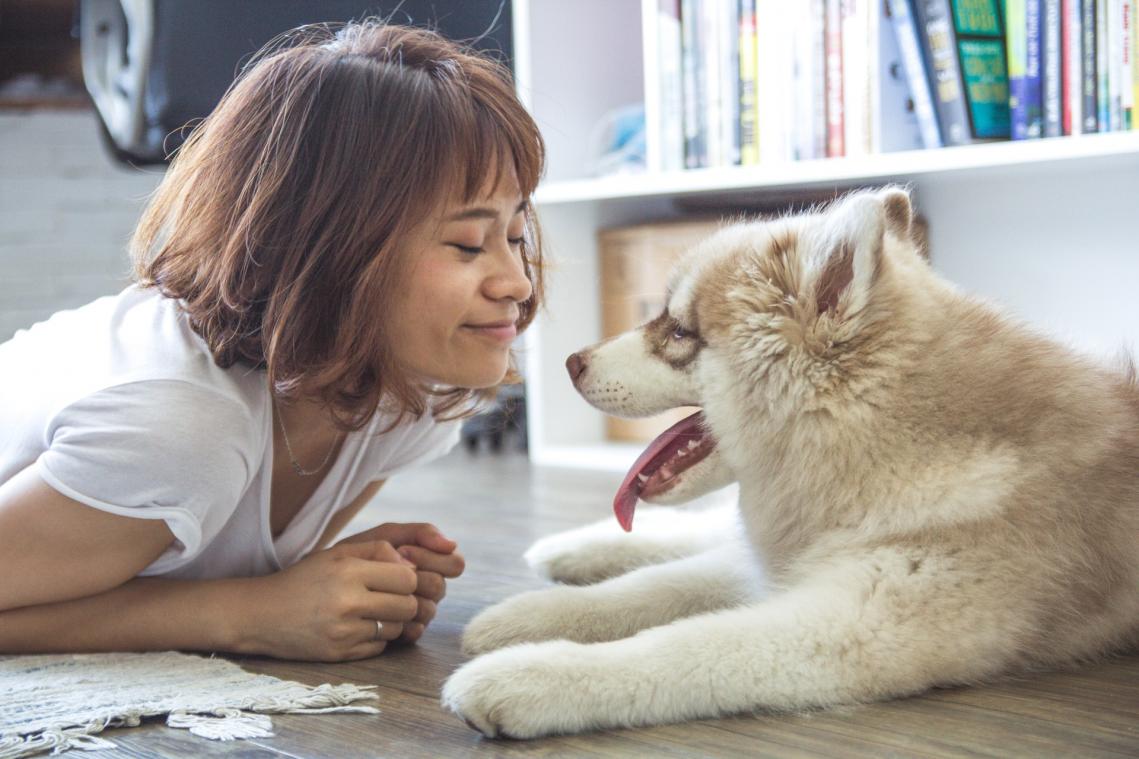 In dit café krijg je naast koffie en gebak ook een hond op je schoot