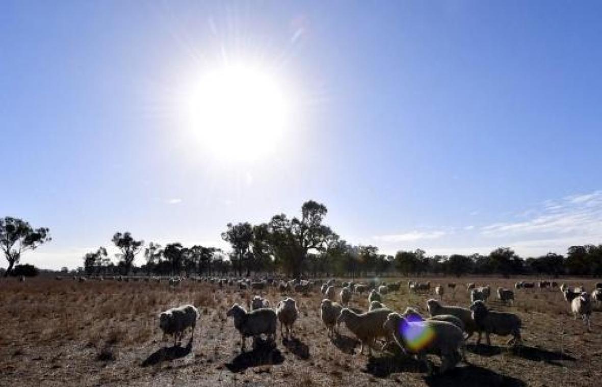 Australië meet warmterecord voor vierde maand op rij