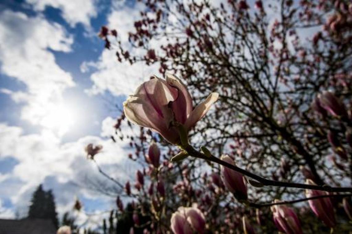 Paasvakantie wordt ingezet met zacht maar wisselvallig weer