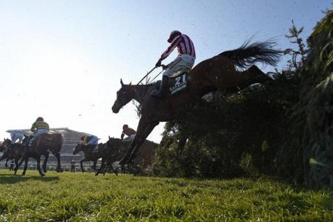 Tiger Roll wint Grand National tweede jaar op rij
