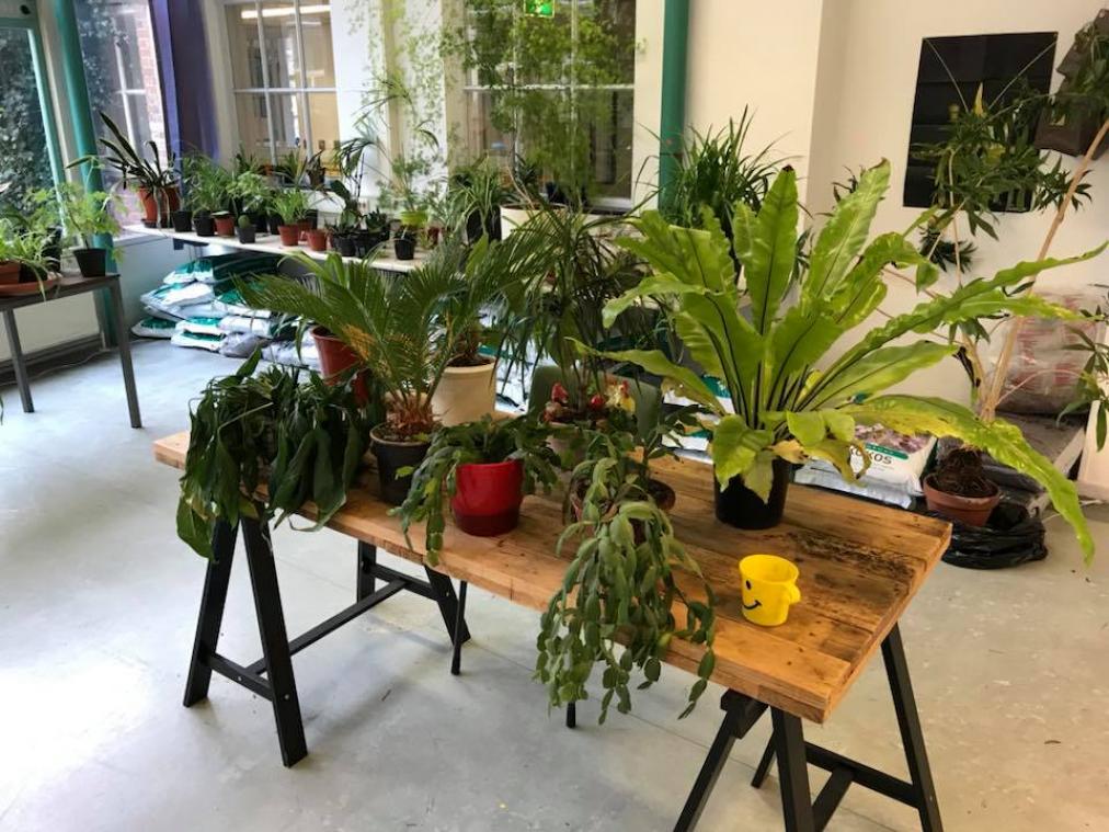 Na dieren zijn er nu ook asielen voor... planten