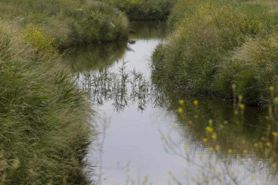 West-Vlaamse Harelbeek meest vervuilde van Europa