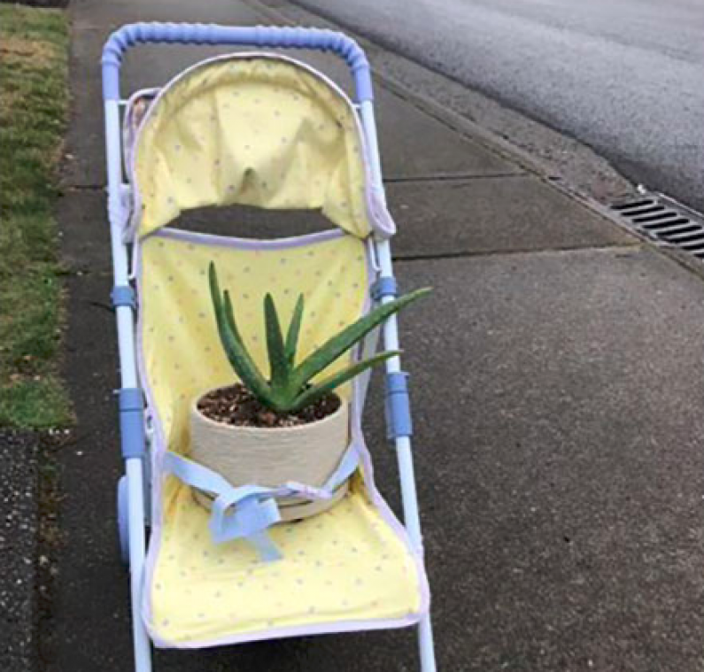 IN BEELD. Wannabe oma neemt babyfoto's met planten