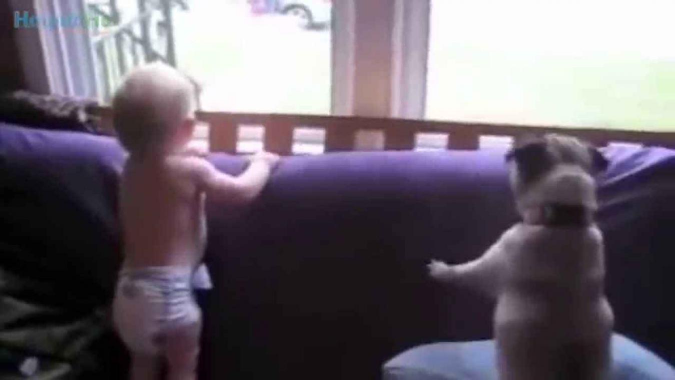 De reacties van deze baby's die hun papa zien thuiskomen, zijn onbetaalbaar