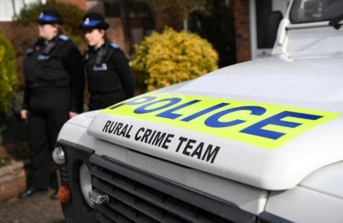 Tienjarige jongen sterft na aanval hond in Brits vakantiepark