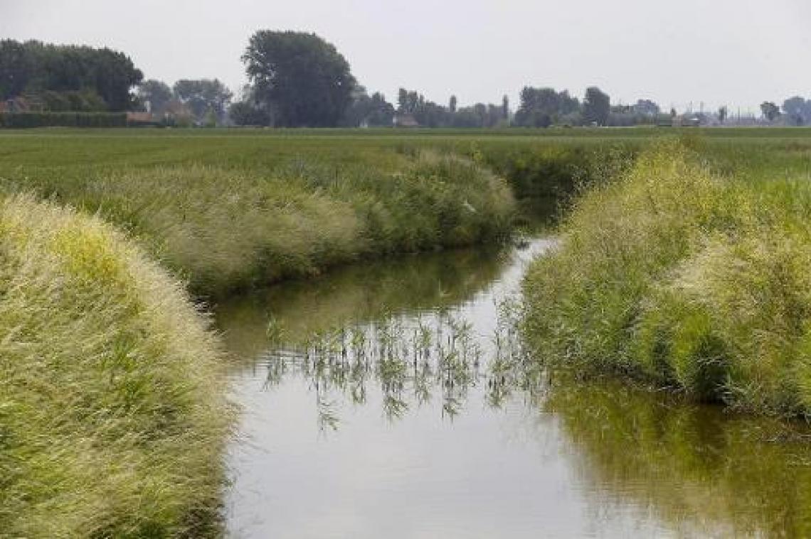 "Nog geen doemscenario's ondanks lage waterstanden"