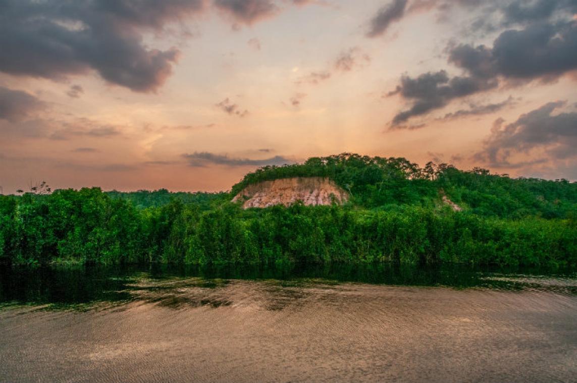 WOW. Wereldwijd is al twaalf miljoen hectare bossen verdwenen