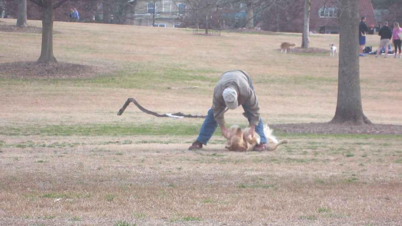 Hond doet alsof hij dood is om in het park te blijven